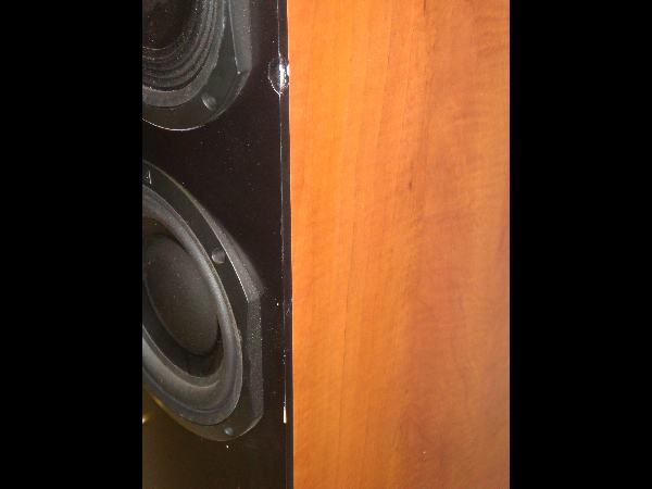 TRIANGLE ALTEA ESW AUDIOPHILE TOWER SPEAKERS  READ  