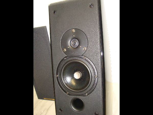 SONUS FABER WALL DOMUS SPEAKER PAIR   READ  